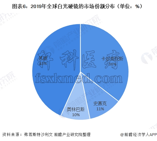 2019年全球白光硬镜市场份额.png